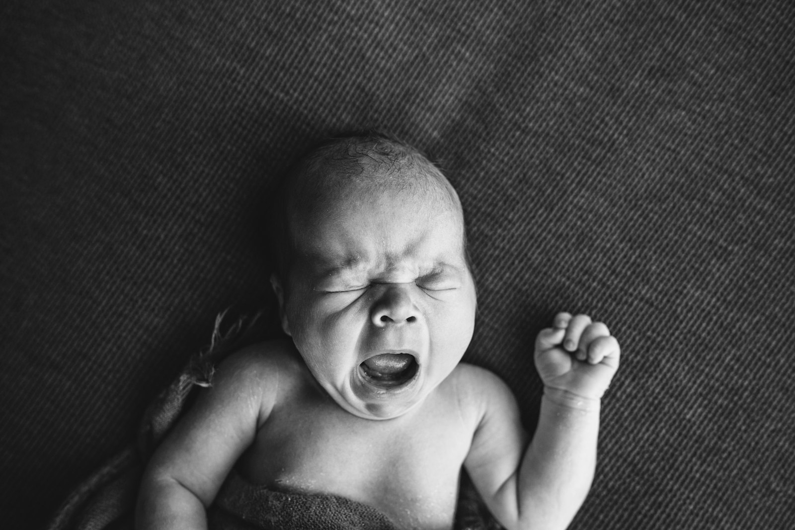 Baby Ted | 02