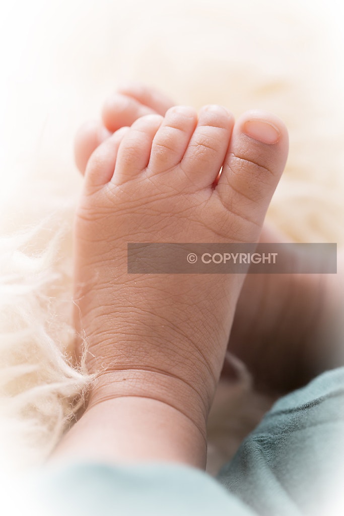 Norwest newborn Photographer