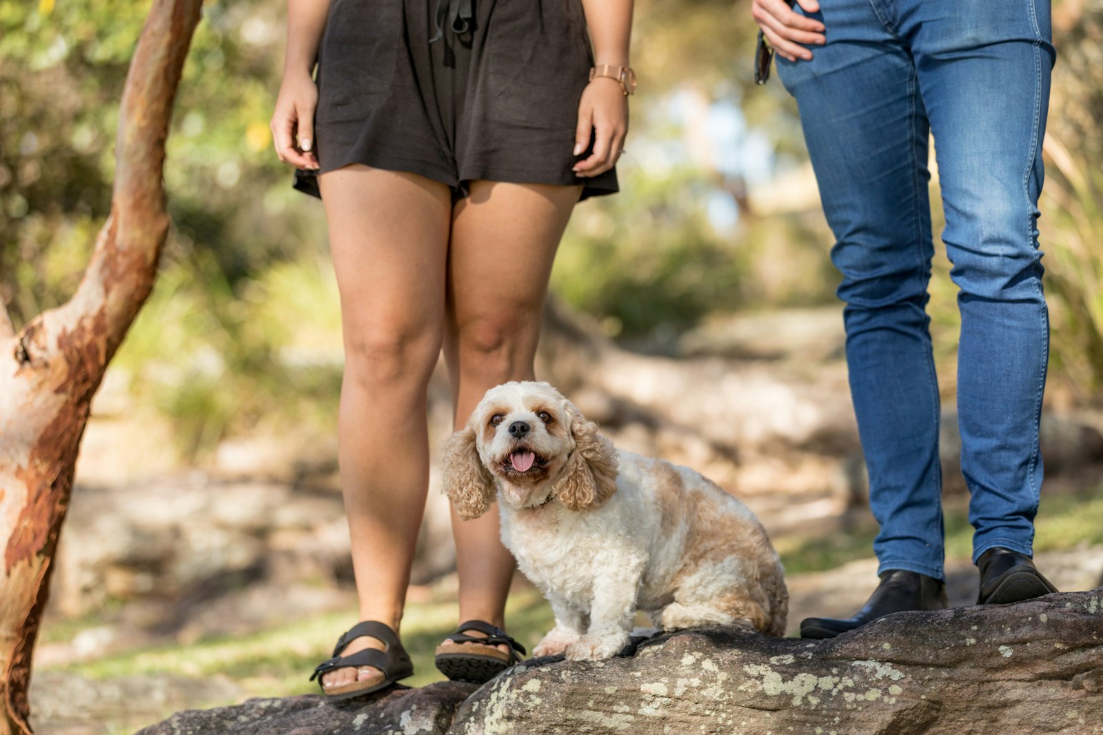 2018-0117-Tilly (5 of 38) - All Rights Reserved © 2017 Jo Lyons Photography
