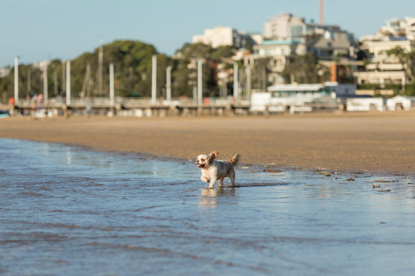 2018-0117-Tilly (34 of 38) - All Rights Reserved © 2017 Jo Lyons Photography